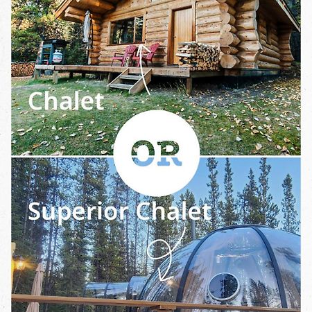 Rocky Mountain Escape Dome & Log Cabin Rentals - Rock Lake Rock Lake Lodge Provincial Park Esterno foto