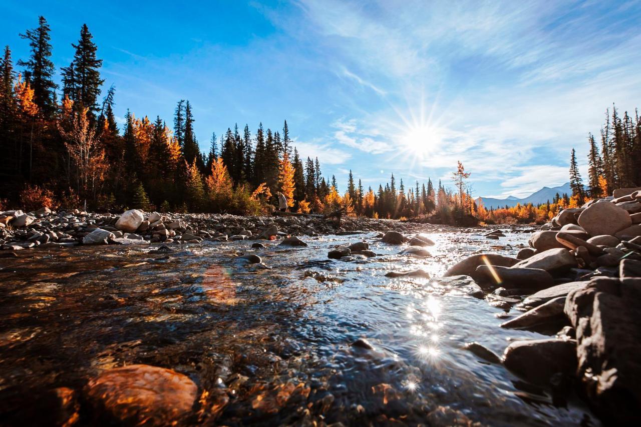 Rocky Mountain Escape Dome & Log Cabin Rentals - Rock Lake Rock Lake Lodge Provincial Park Esterno foto